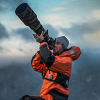 Author profile image